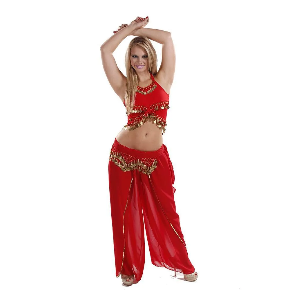 Belly Dance Lycra Top, Chiffon Harem Pants, & Hip Scarf Costume Set | ADAASANIA