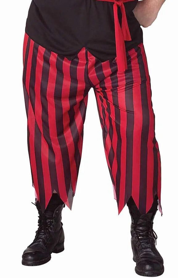 Buccaneer Pirate Plus Size Mens Swashbuckler Costume