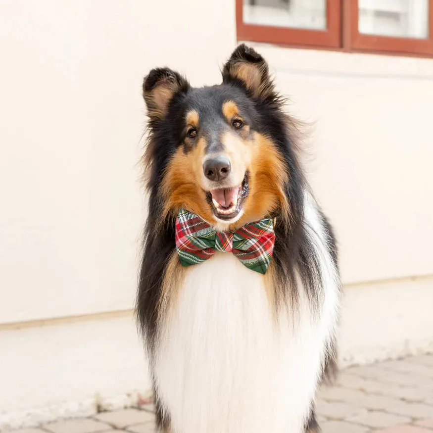 Dog and Cat Bowtie: Holly Jolly Flannel